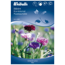 Frö Blåklint 'Mix' Weibulls